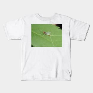 Macro photo of adult Diphetor hageni mayfly Kids T-Shirt